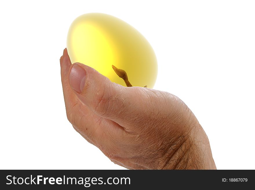 Gold nest egg in hand render concept image