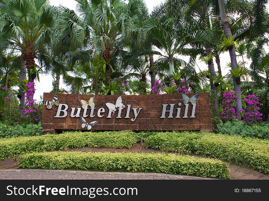 Sign Butterfly Hill on the background of green trees palm and flowers