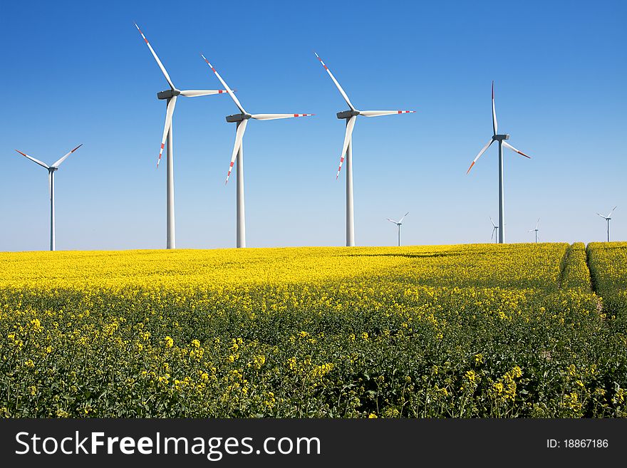 Rape seed field with wind turbines generating electricity. Rape seed field with wind turbines generating electricity