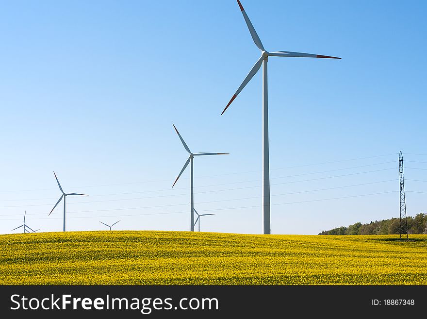 seed field with wind turbines generating electricity. seed field with wind turbines generating electricity