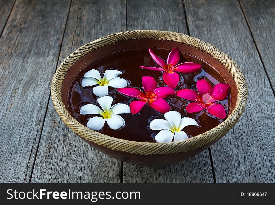 Colorful Plumeria flower floating in the ancient bowl