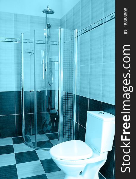 Contemporary bathroom interior with shower and toilet