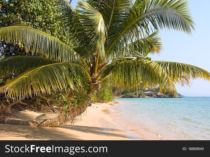 Beautiful tropical beach in Koh Mak , Thailand. Beautiful tropical beach in Koh Mak , Thailand