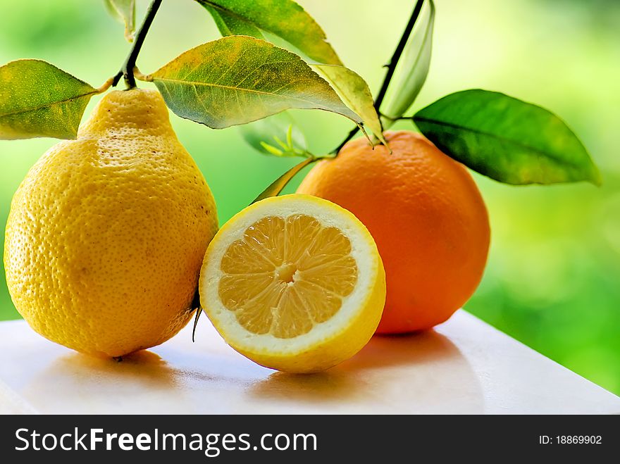 Orange and lemon slice in green background. Orange and lemon slice in green background.