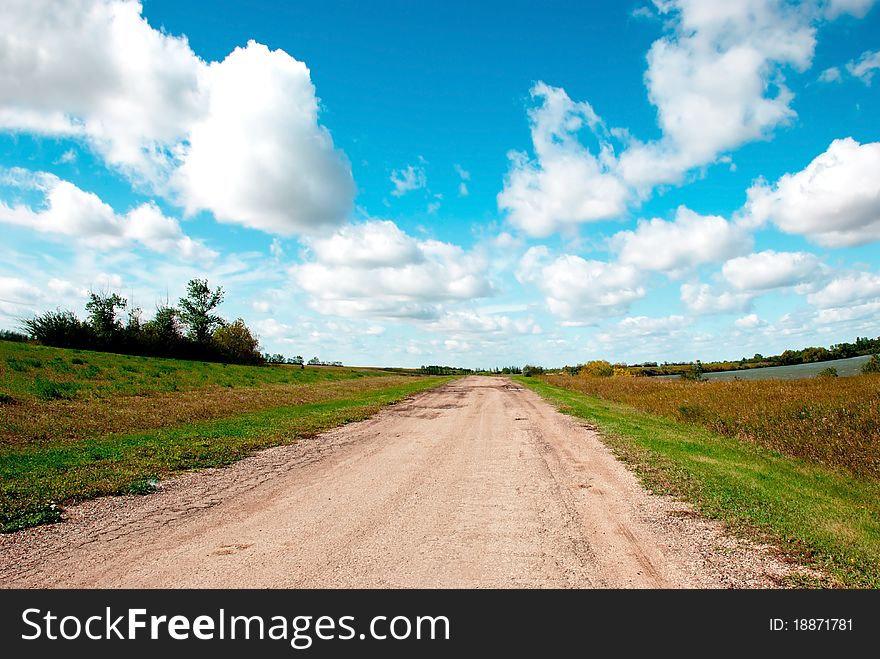 A road through a field in fall time