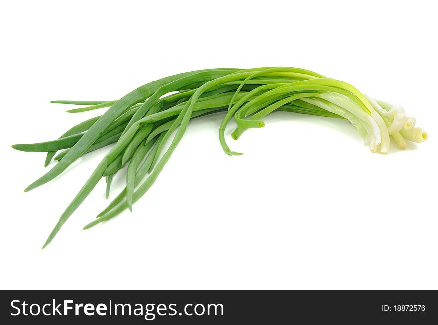Green spring onions  isolated on a white background
