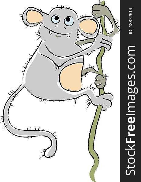 Funny gray ape climbing up a vine and smiles. it is cheerful and friendly. Funny gray ape climbing up a vine and smiles. it is cheerful and friendly