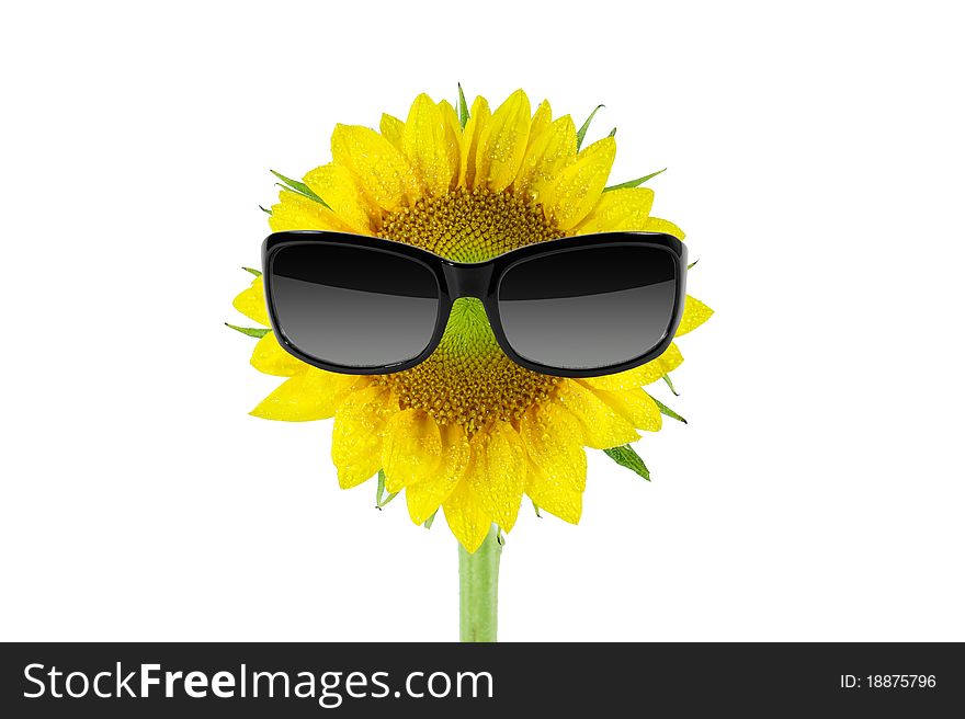 Sunglasses and sunflower isolated on a white