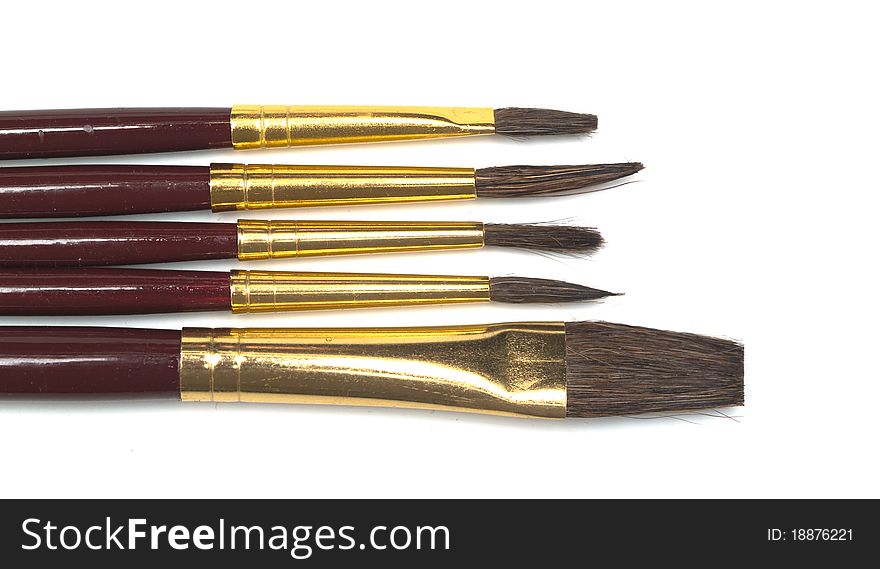 Set of brushes of various sizes for painting