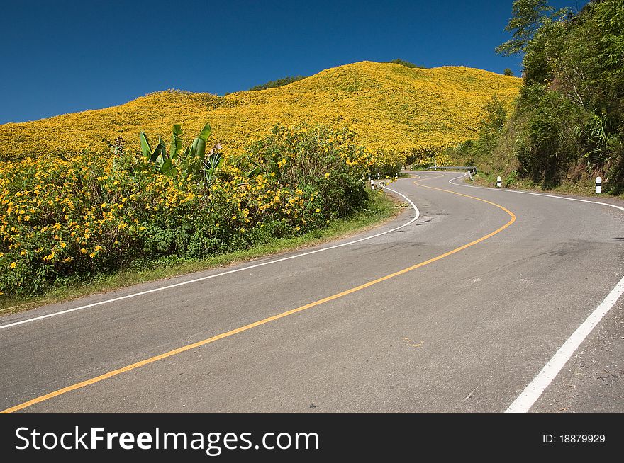 The Road To Yellow Flower Mountain