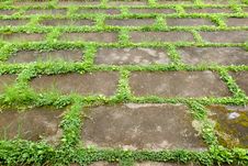 Perspective Walkway Royalty Free Stock Image Perspective Walkway Royalty Free Stock Image