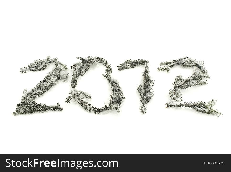 2012 year of branches on snow