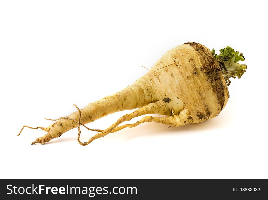 Single parsnip isolated on a white background. Single parsnip isolated on a white background