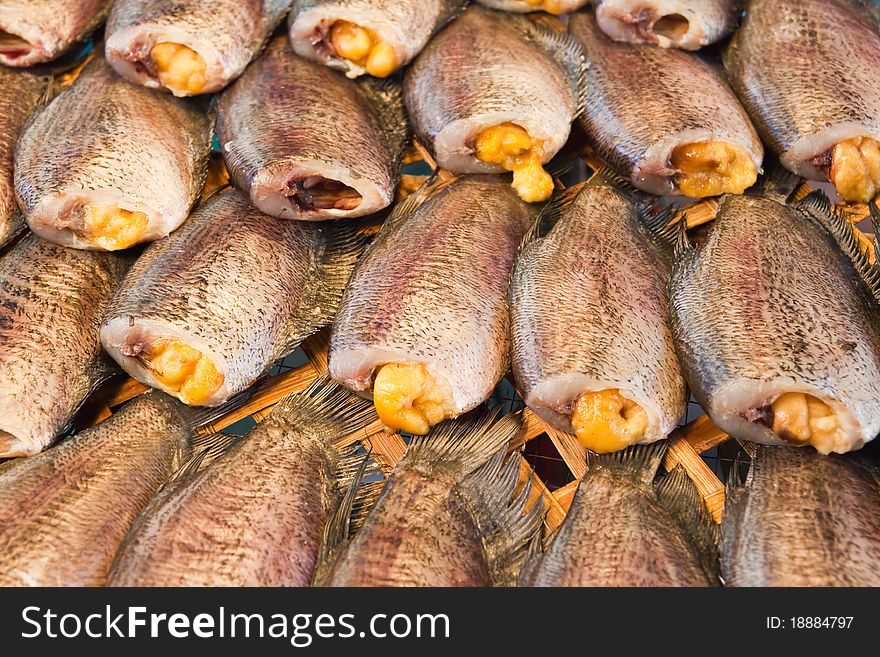 Dry Gourami fish