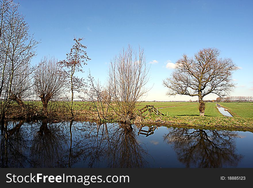 Trees reflected in water in a Dutch farmland landscape. Trees reflected in water in a Dutch farmland landscape