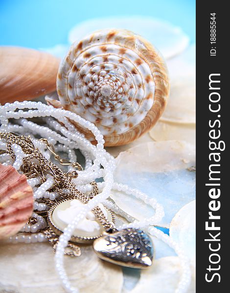 Jewellery shells