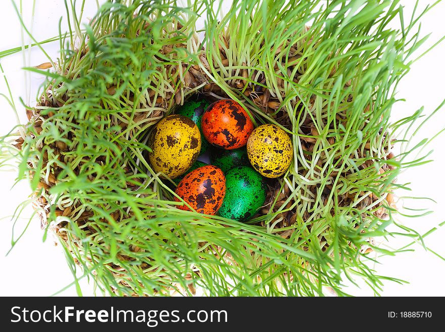 Easter Colorful Eggs On Grass