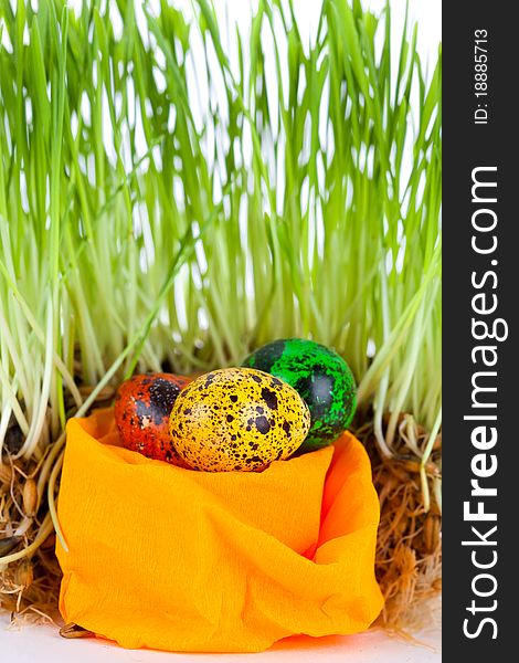 Closeup portrait of Easter colorful eggs near grass on decorative nest