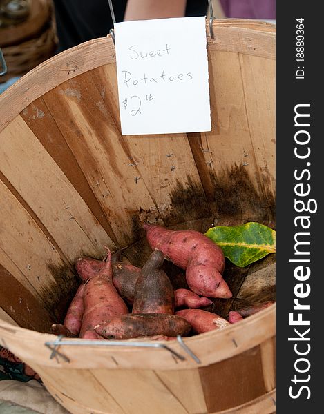 Fresh organic basket of sweet potatoes