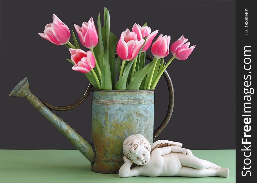 Tulips in Watering Can with Cherub