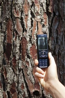Cellphone In Hand Royalty Free Stock Photo Cellphone In Hand Royalty Free Stock Photo