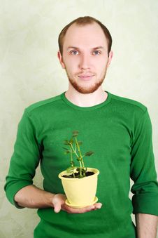 Man Holding Yellow Flowerpot With Kalanchoe Plant Royalty Free Stock Image Man Holding Yellow Flowerpot With Kalanchoe Plant Royalty Free Stock Image
