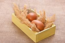 Chicken Eggs In A Wooden Box Royalty Free Stock Photography