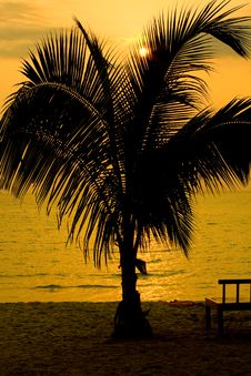 Silhouette Of Palm Trees Royalty Free Stock Photo Silhouette Of Palm Trees Royalty Free Stock Photo