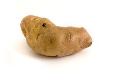 Single Misshapen Potato Over White Stock Image