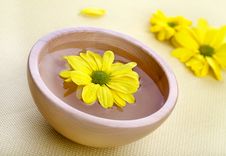 Yellow Flowers In Wooden Bowl Stock Images