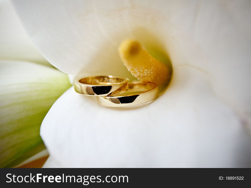 Pair of wedding rings in calla