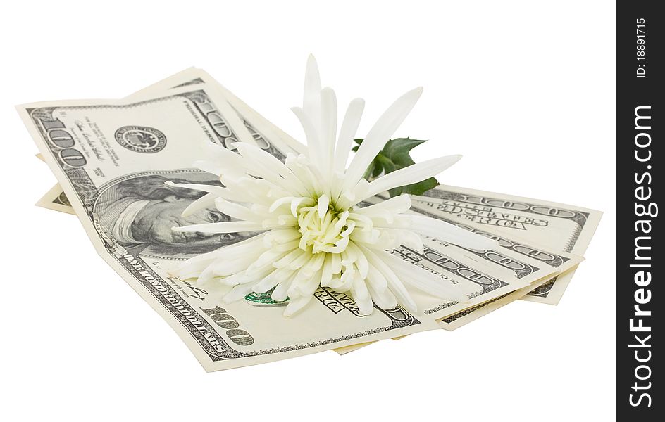 Dollars And Flower