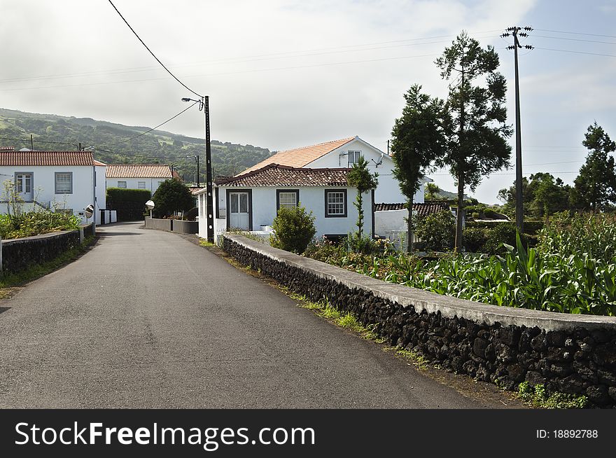 Country road in Pico island, Azores