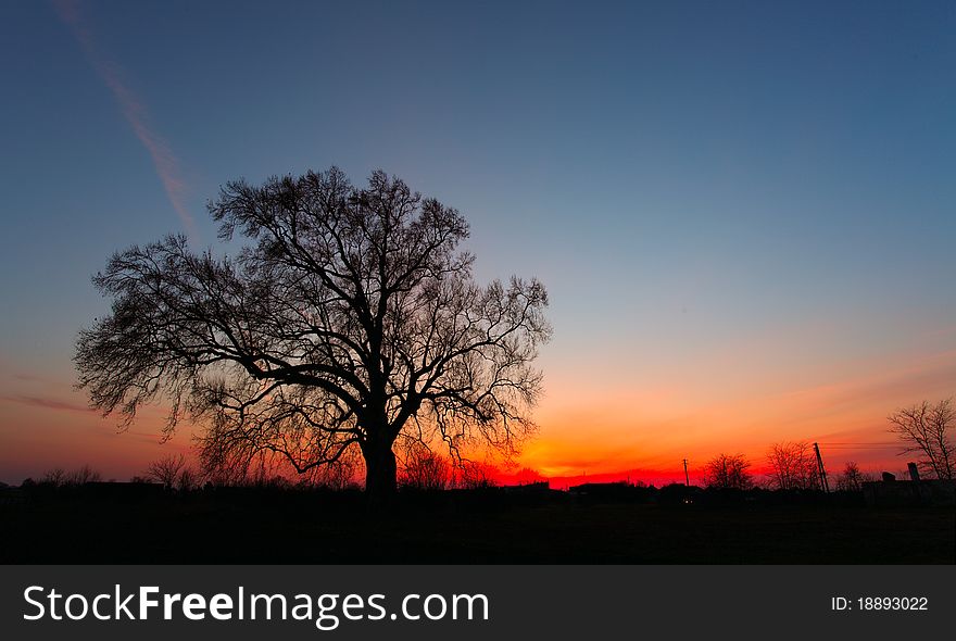 Beautiful landscape image with trees silhouette at sunset. Beautiful landscape image with trees silhouette at sunset.