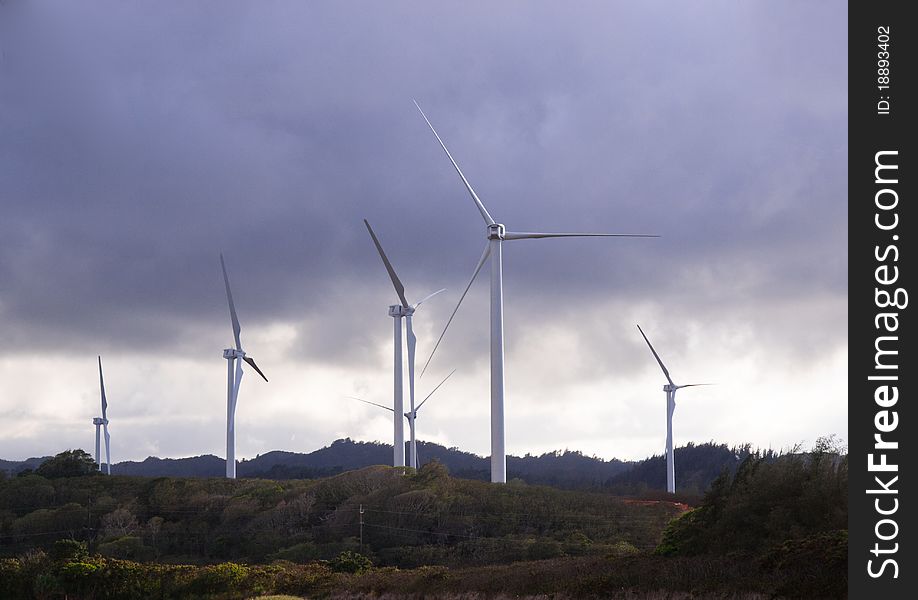 Wind Mill Farm In Oahu Hawaii