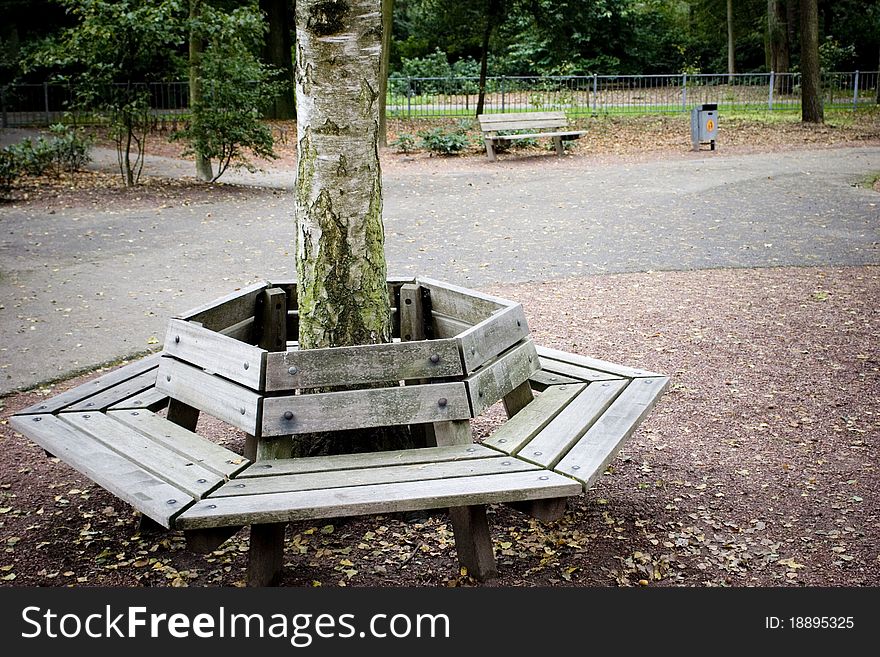 Empty bench around tree in park