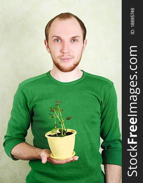 Man holding yellow flowerpot with Kalanchoe plant