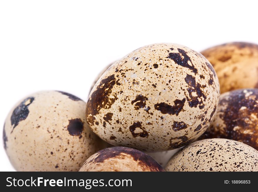 Quail eggs across white background