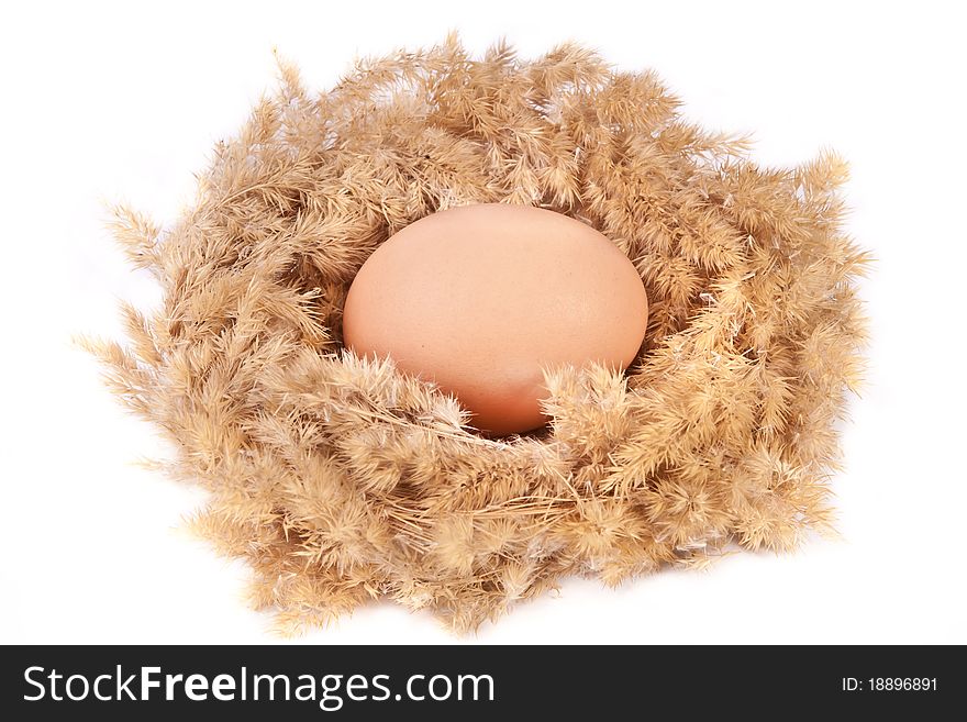 An Egg In A Nest