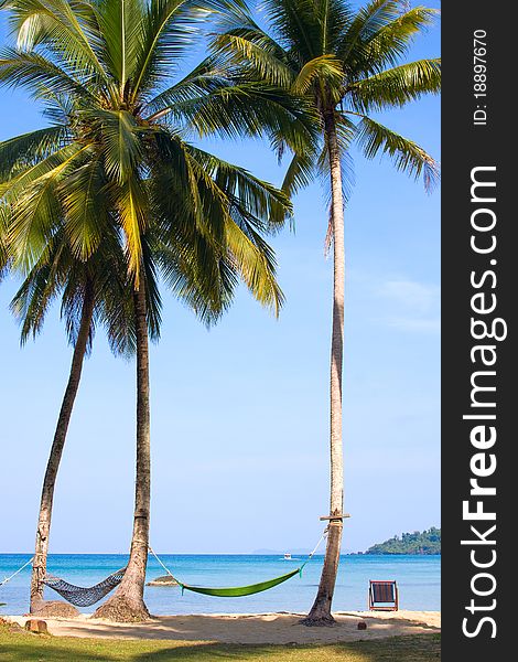 Hammock on the palms on the island of Koh Kood, Thailand