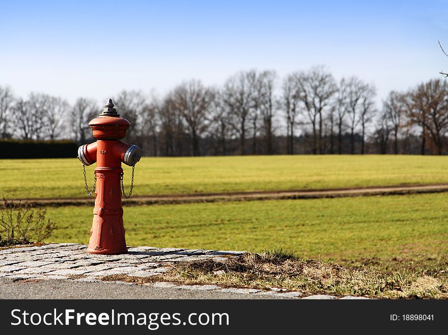 A red fireplug in front of a green meadow