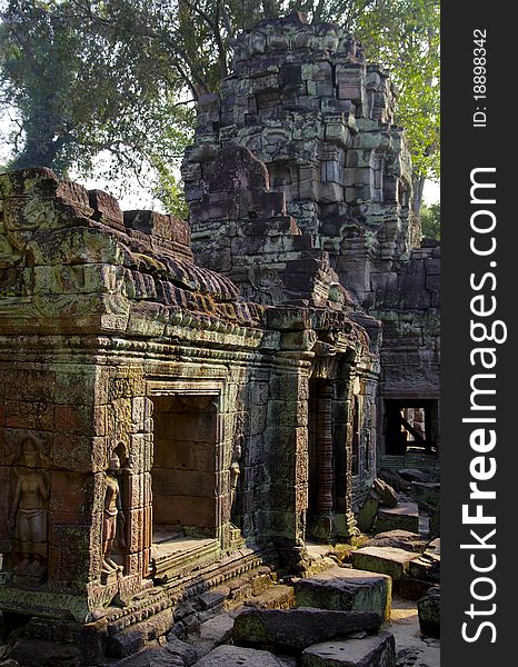 The Jungle Temple in the Angkor Wat City