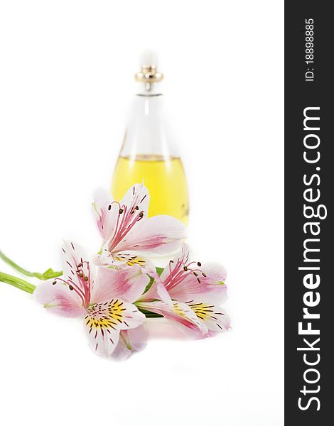 Perfume bottle with flower close up shoot. Perfume bottle with flower close up shoot