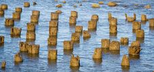 Old Piling Stumps In New Your Harbor Royalty Free Stock Photo Old Piling Stumps In New Your Harbor Royalty Free Stock Photo