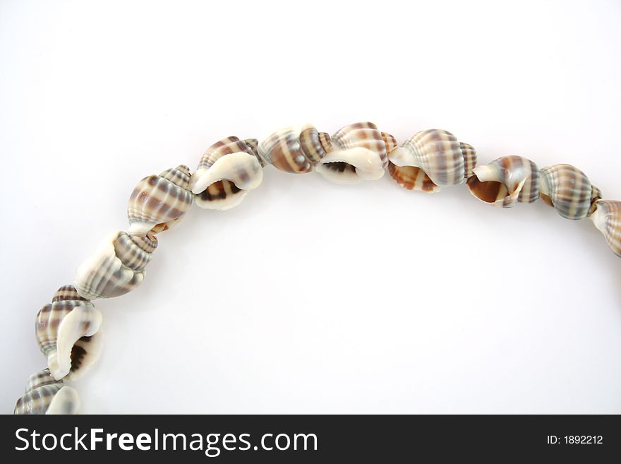 Beads Shell