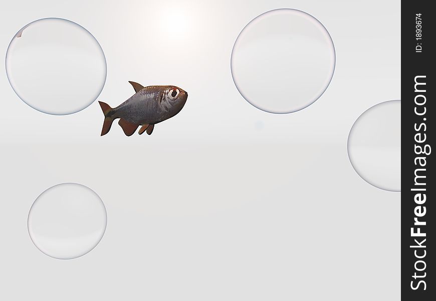 A Fish and Bubbles in a White Space