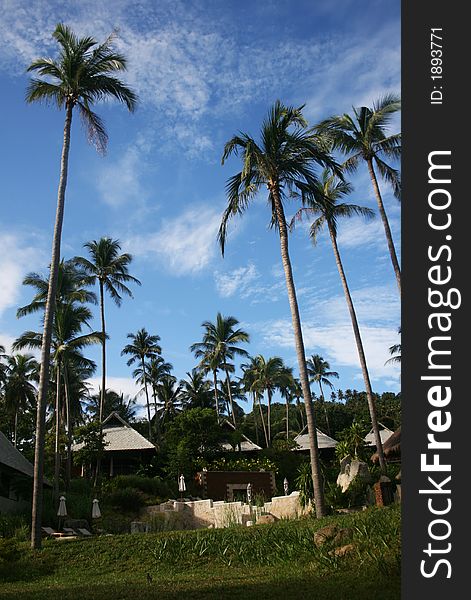 A resort use coconut tree to form up a very nice and relax landscape. A resort use coconut tree to form up a very nice and relax landscape.