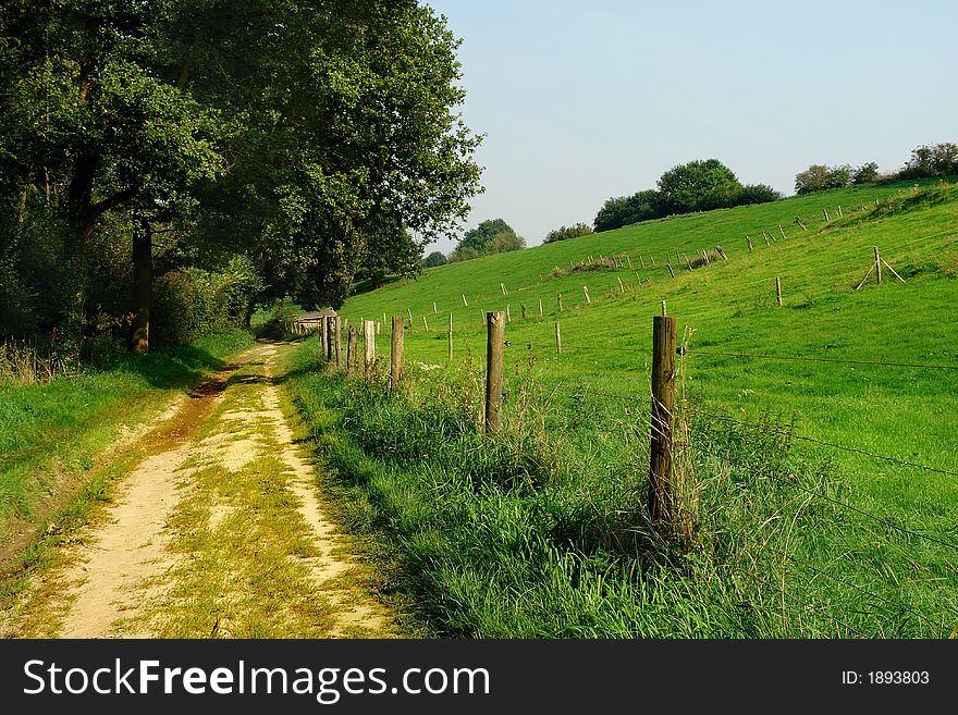 Sandy dirt track between the edge of a forest and hilly rolling grassland, fenced by barbed wire. Trees and meadows. Sandy dirt track between the edge of a forest and hilly rolling grassland, fenced by barbed wire. Trees and meadows.