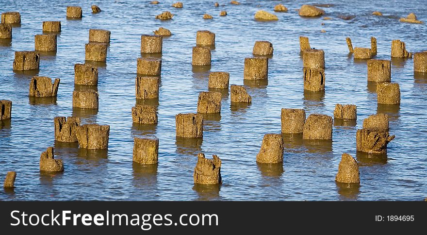 Old piling stumps off the shore in New York Harbor. Old piling stumps off the shore in New York Harbor