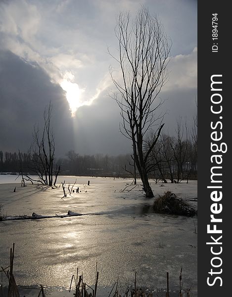 The sunrays over a frozen pond (winter)